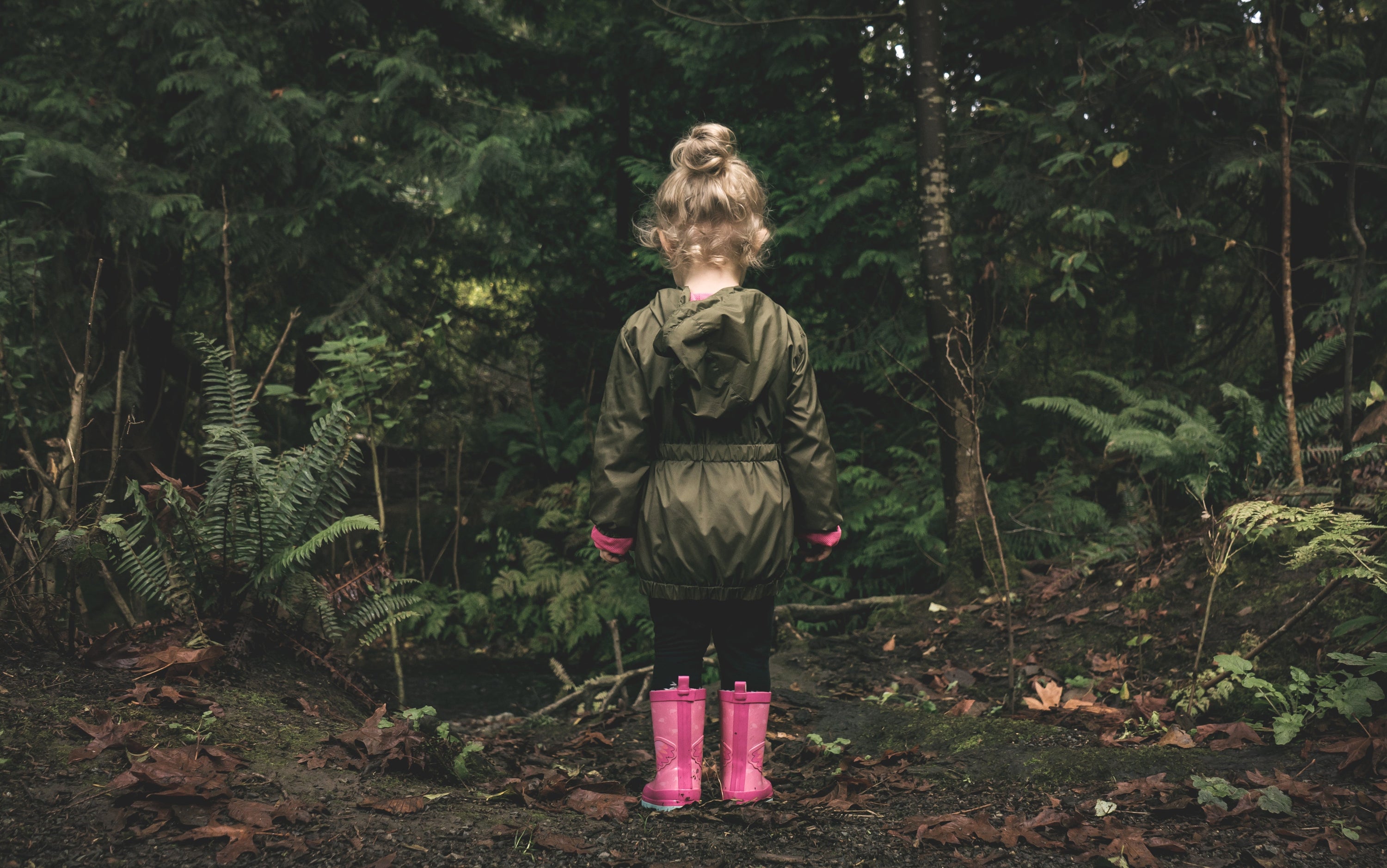 A small child stands at the cusp of adventure as she stares into an unknown forest.