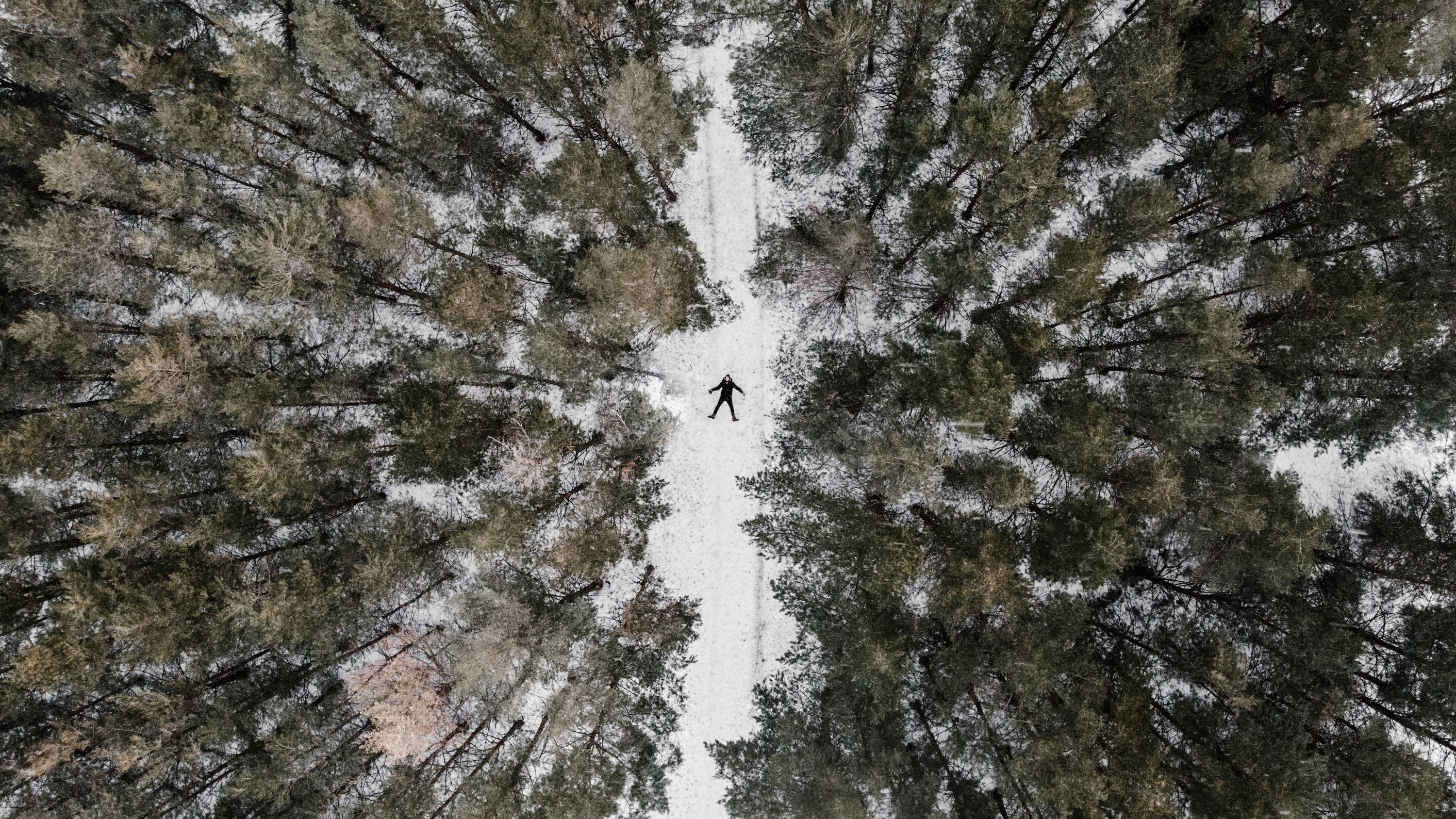 An overhead view of a person in a black hooded jacket and pants laying in the snow. They are on a snow-covered path surrounded by coniferous forest.