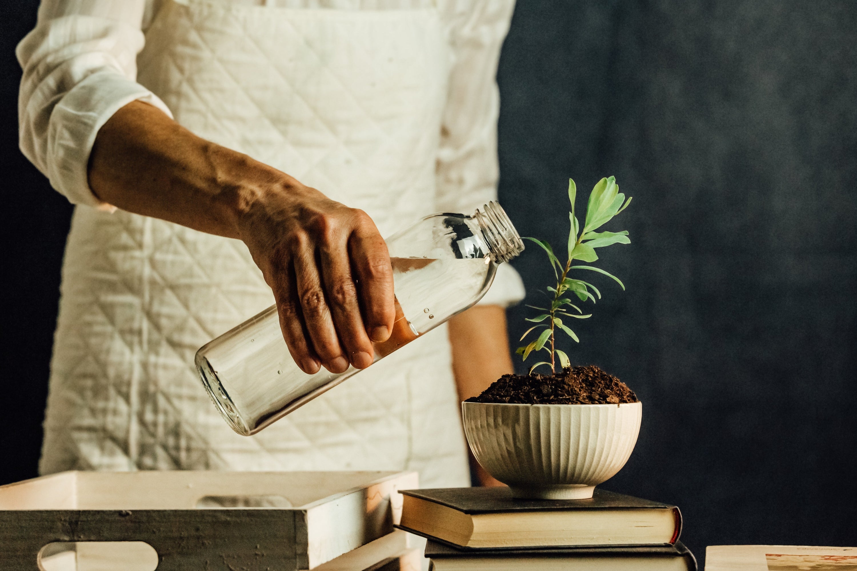 Person in a white apron pours water from a glass jar onto a small plant in a white bowl. The plant is sitting on top of a stack of books.