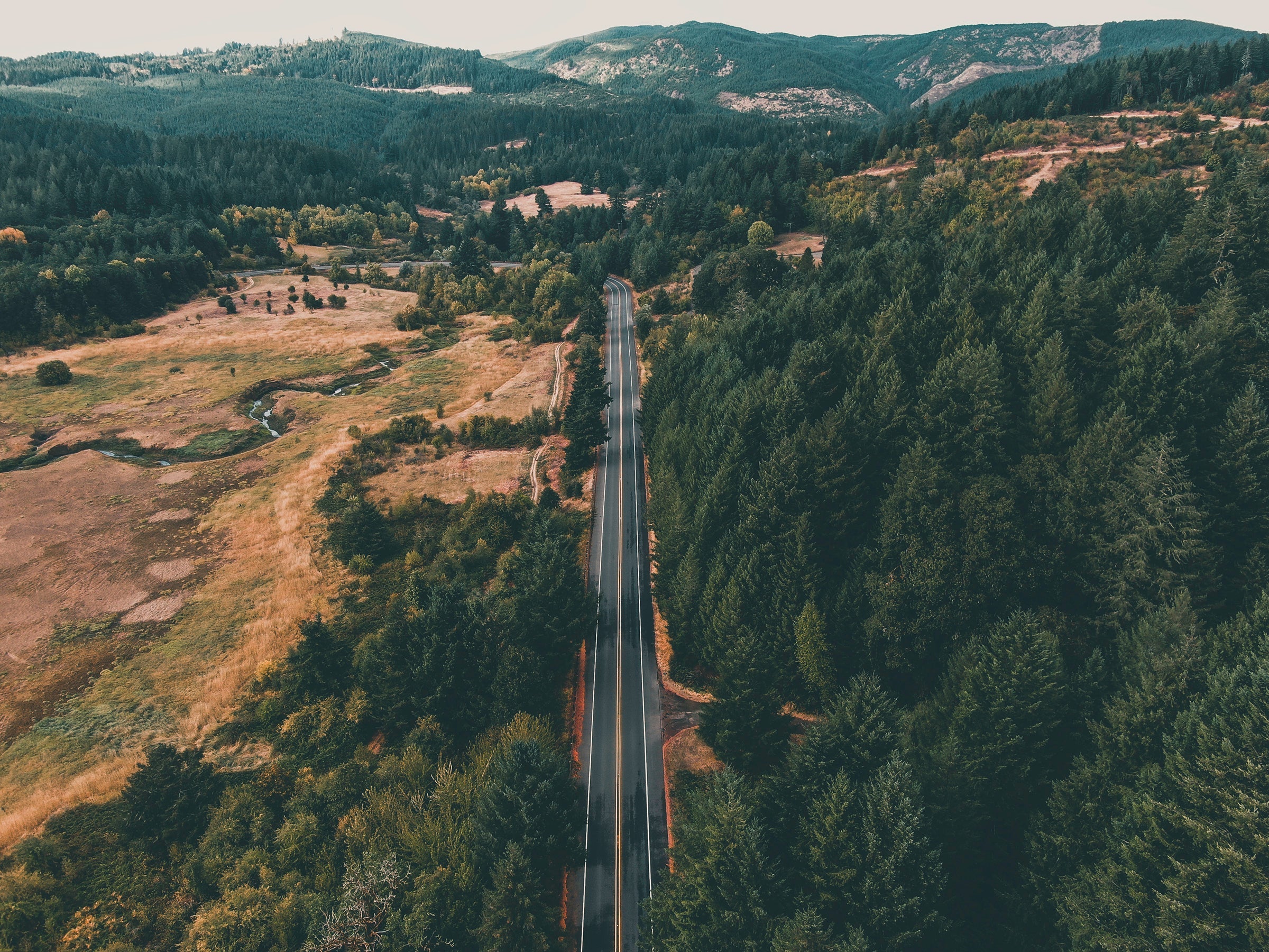 An aerial view of a paved road that is lined with tall green trees to the right and an open valley of brown and green grass to the left.