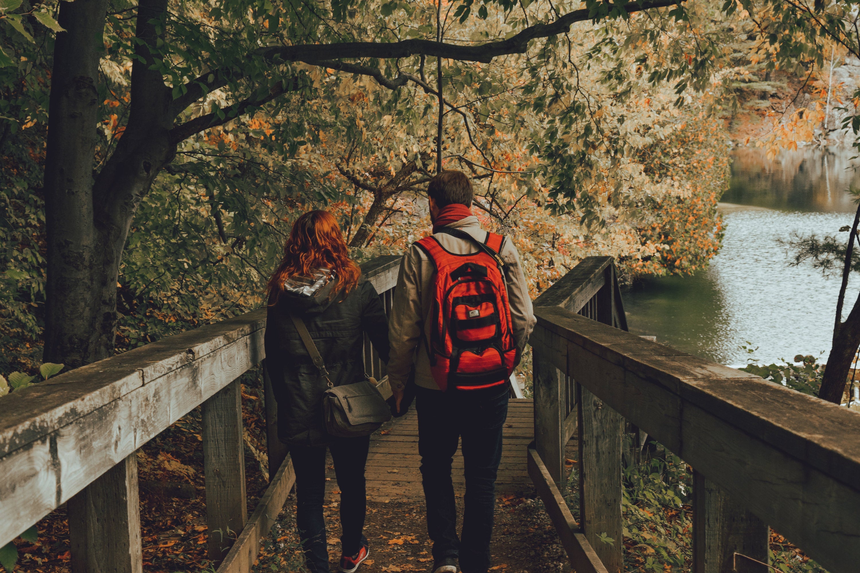 Couple walks hand in hand down forest path.