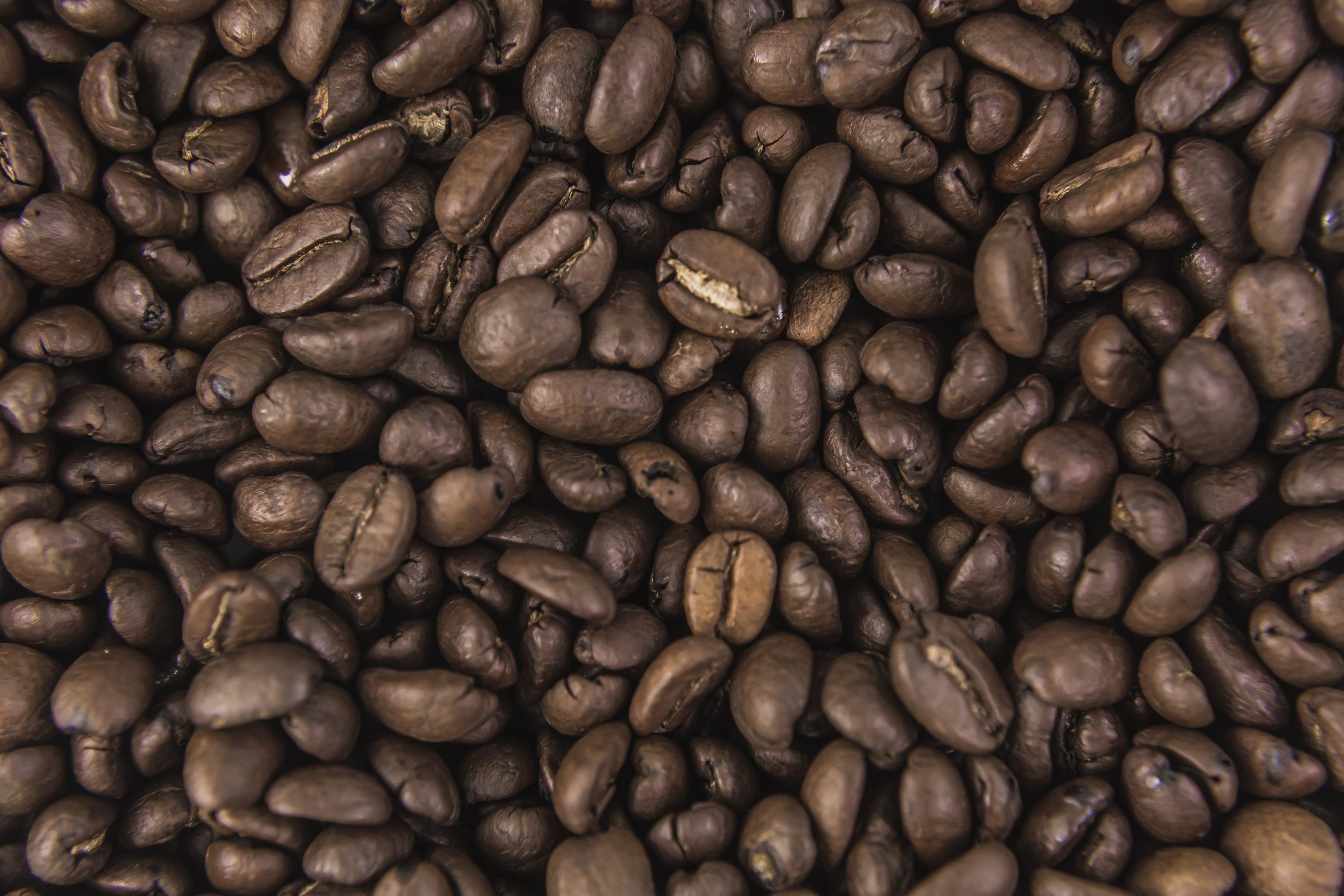 Close up, top view of roasted coffee beans.