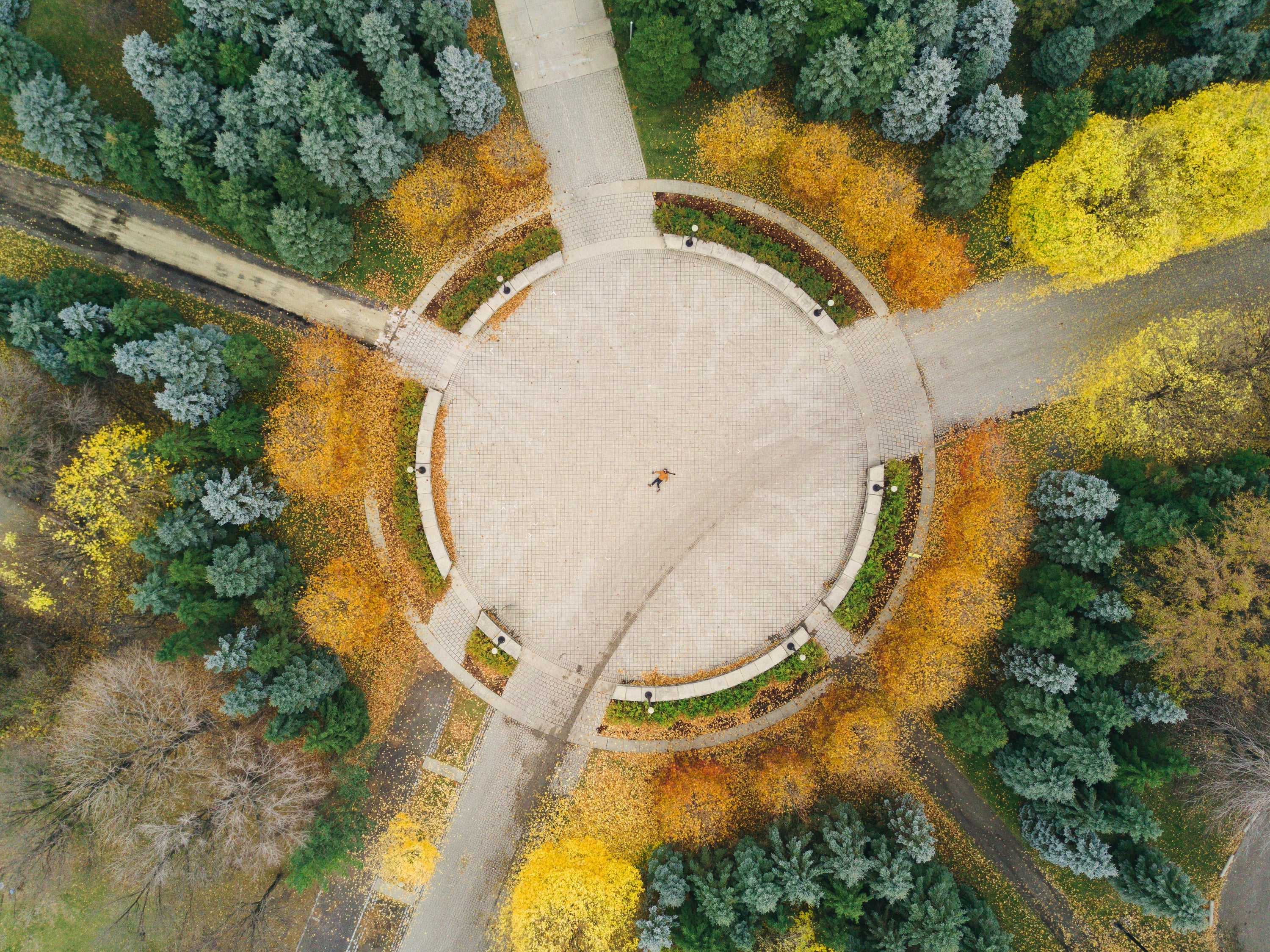 The round shape of a small paved park area surrounded by fallen golden leaves and green pine trees. 